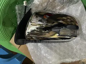 Vigo Side Mirror