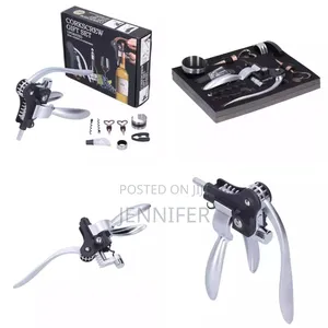 Stainless Steel Wine Corkscrew Set