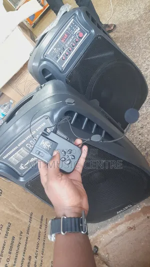 Alipu Speaker System