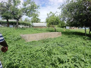 Farmland on Sale