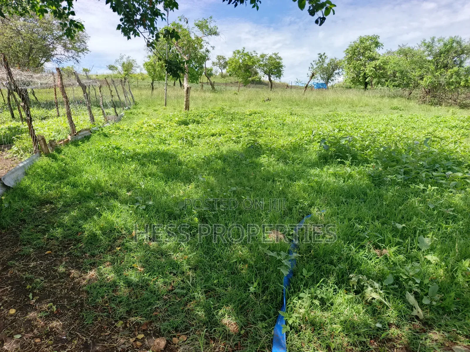 Farmland on Sale