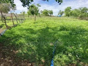 Farmland on Sale