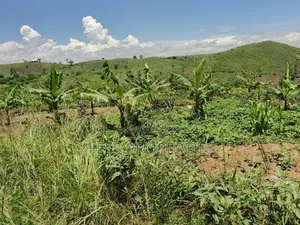 Farmland on Sale