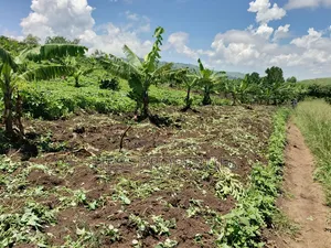 Farmland on Sale
