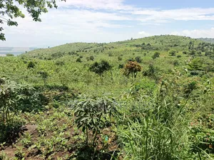 Farmland on Sale
