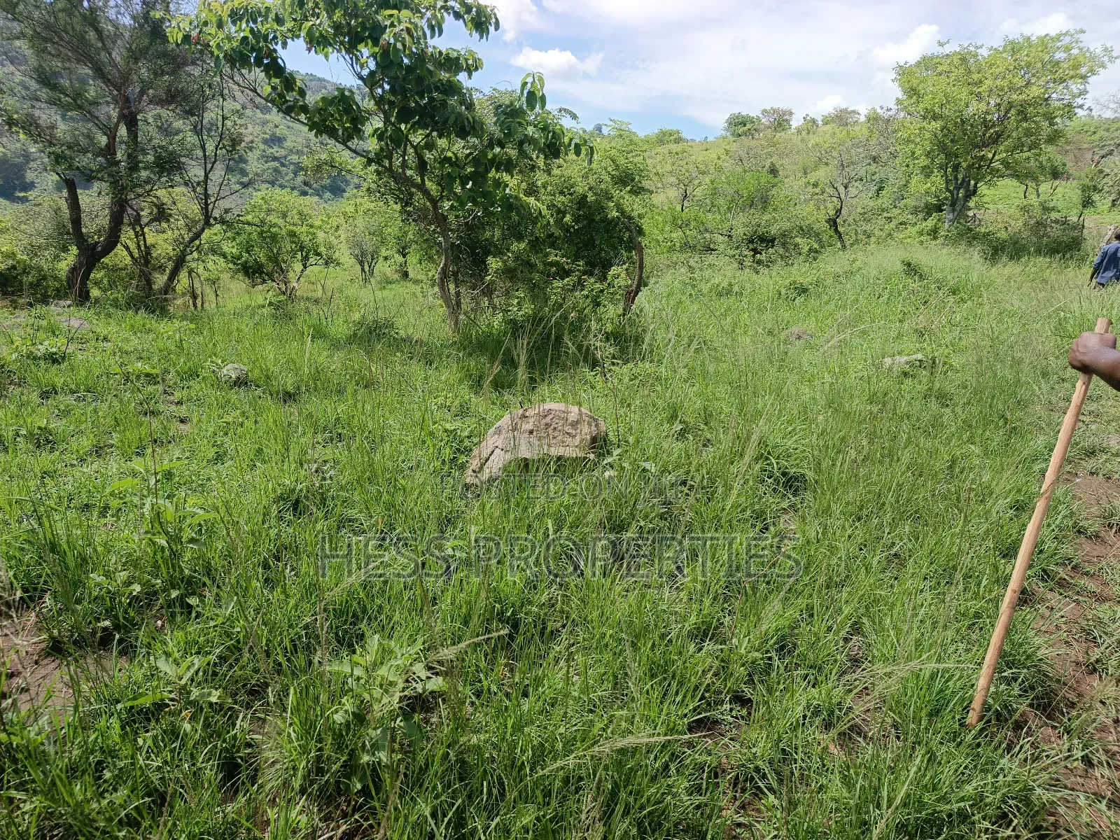 Farmland on Sale