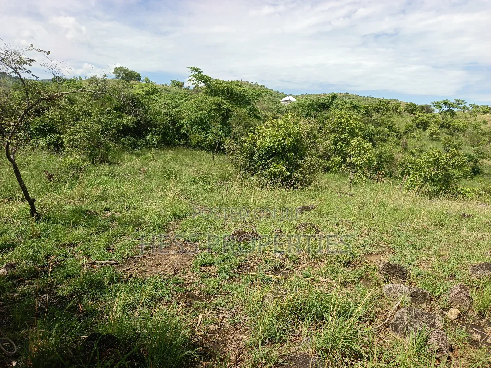 Farmland on Sale