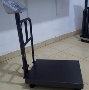 High Accuracy Platform Weighing Scales 350kg Weigh Scales