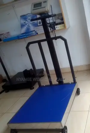 Industrial Strong Weigh Scale Low Profile Weighing Scales