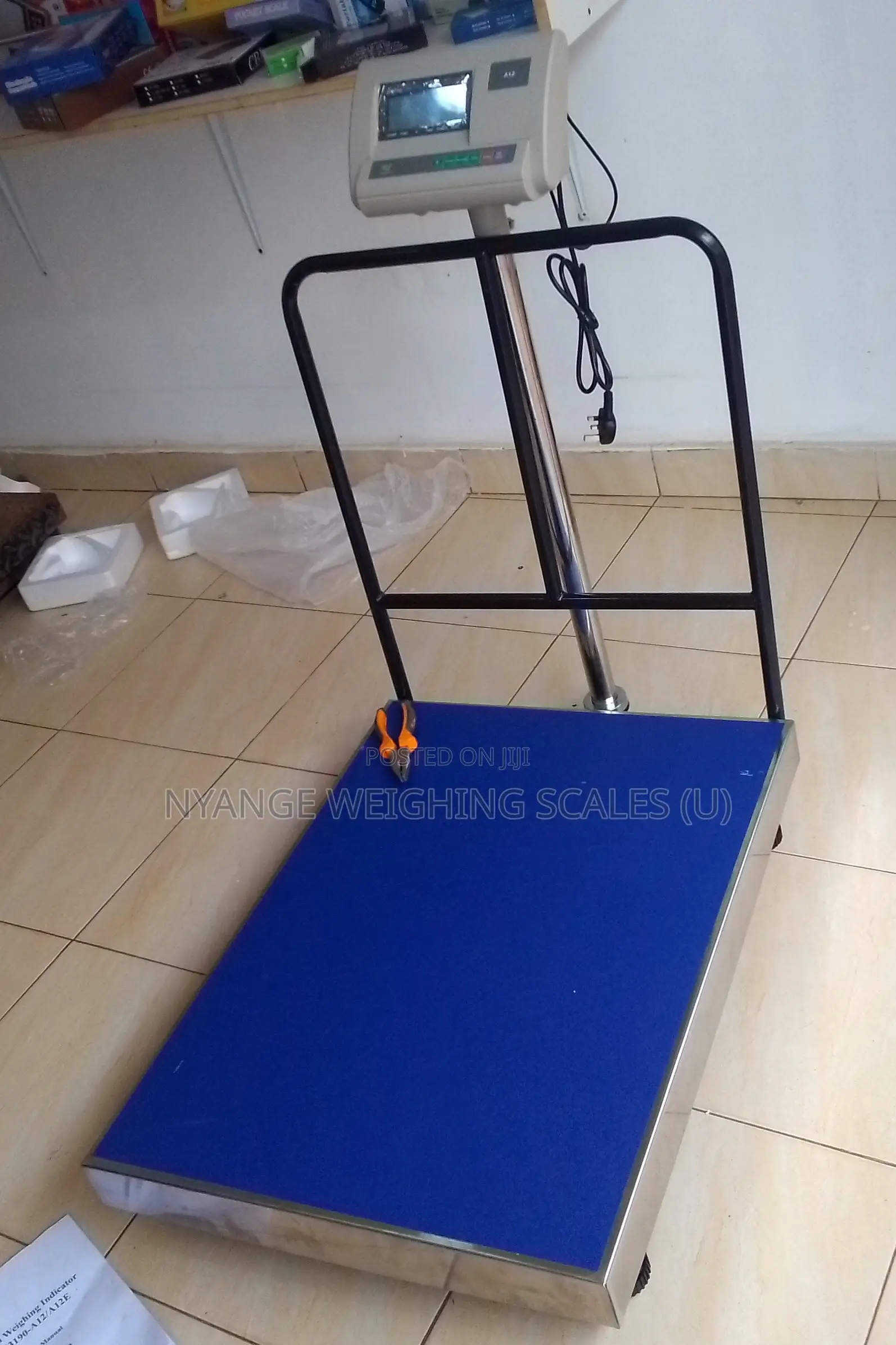 High Weigh Accuracy Stainless Steel Weighing Scale 500kg Weigh Machine