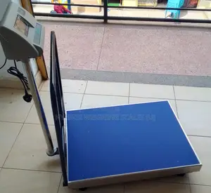 Electronic Weigh Digital Weighing Scale M-Cpty 500kg/100g Weigh