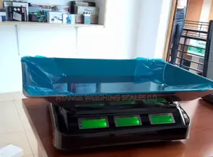 Display Digital Weigh Scale Electronic Weighing Scales 40kg