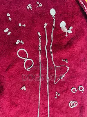 Sliver Earrings and Necklaces