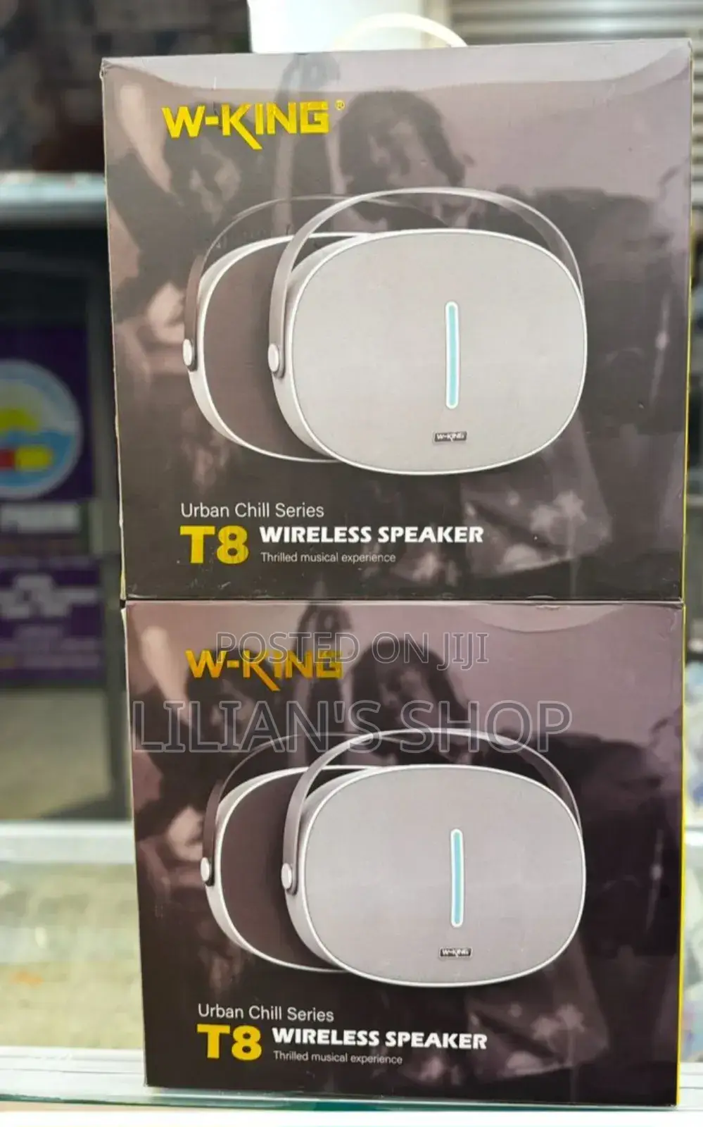 W-King T8 Wireless Speaker