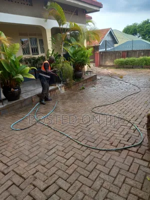 Paver Cleaning Services