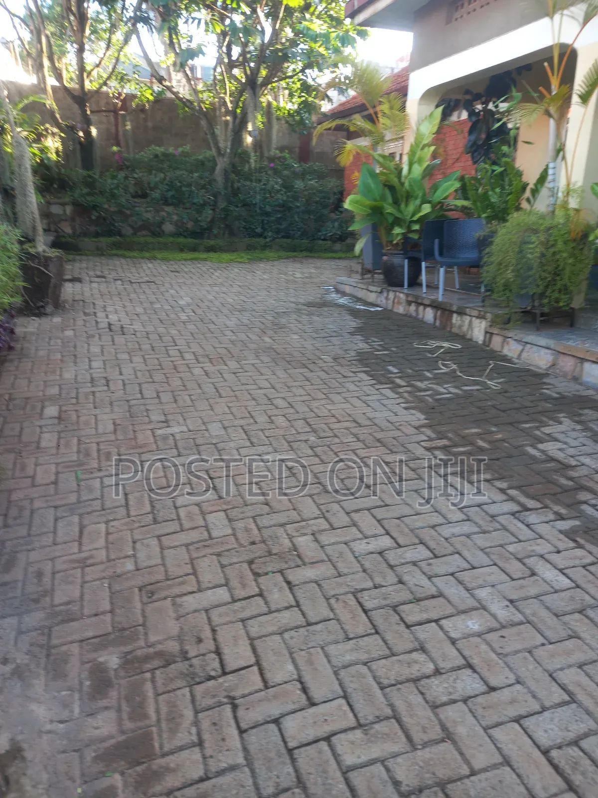 Paver Cleaning Services