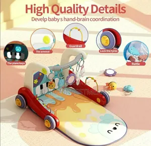 Luxurious 2 in 1 Baby Gym With Walker