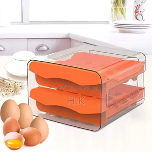 Two-Layer Egg Storage Container