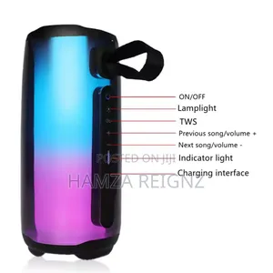 Pulse 5 Family K Song Bluetooth Speaker Portable Column RGB