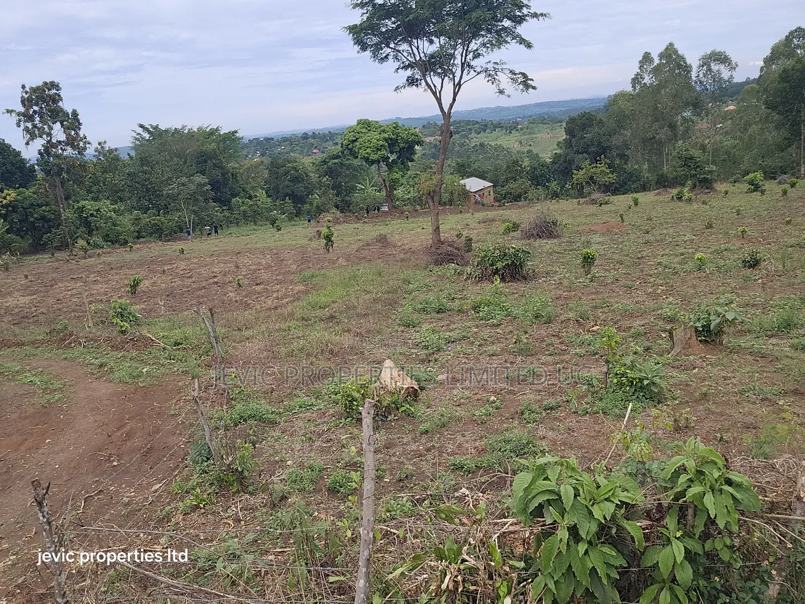 Hot Plots for Sale at Namayumba