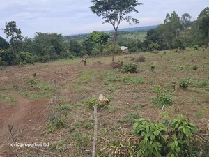 Hot Plots for Sale at Namayumba