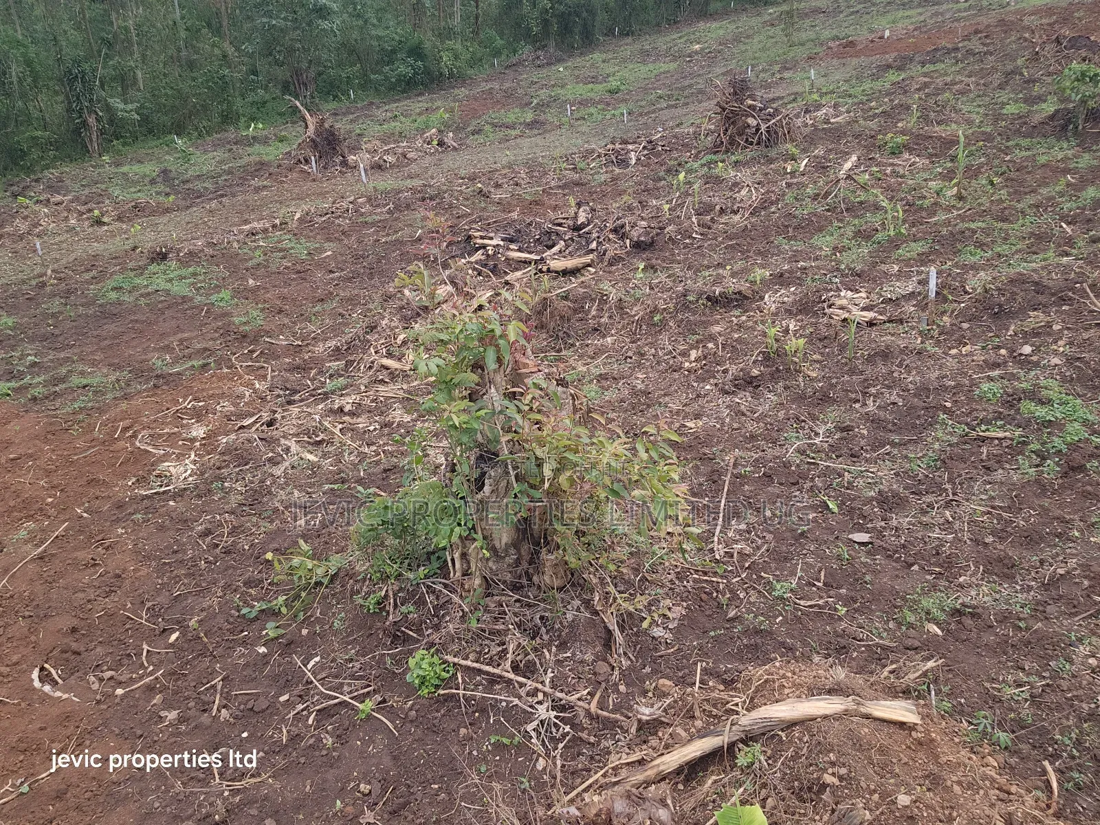 Hot Plots for Sale at Namayumba