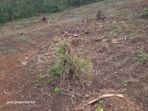 Hot Plots for Sale at Namayumba
