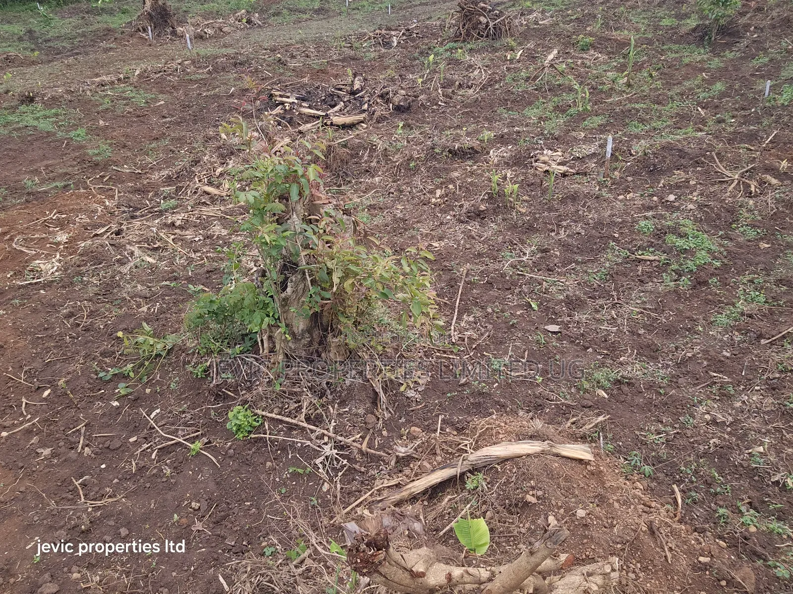Hot Plots for Sale at Namayumba