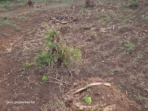 Hot Plots for Sale at Namayumba