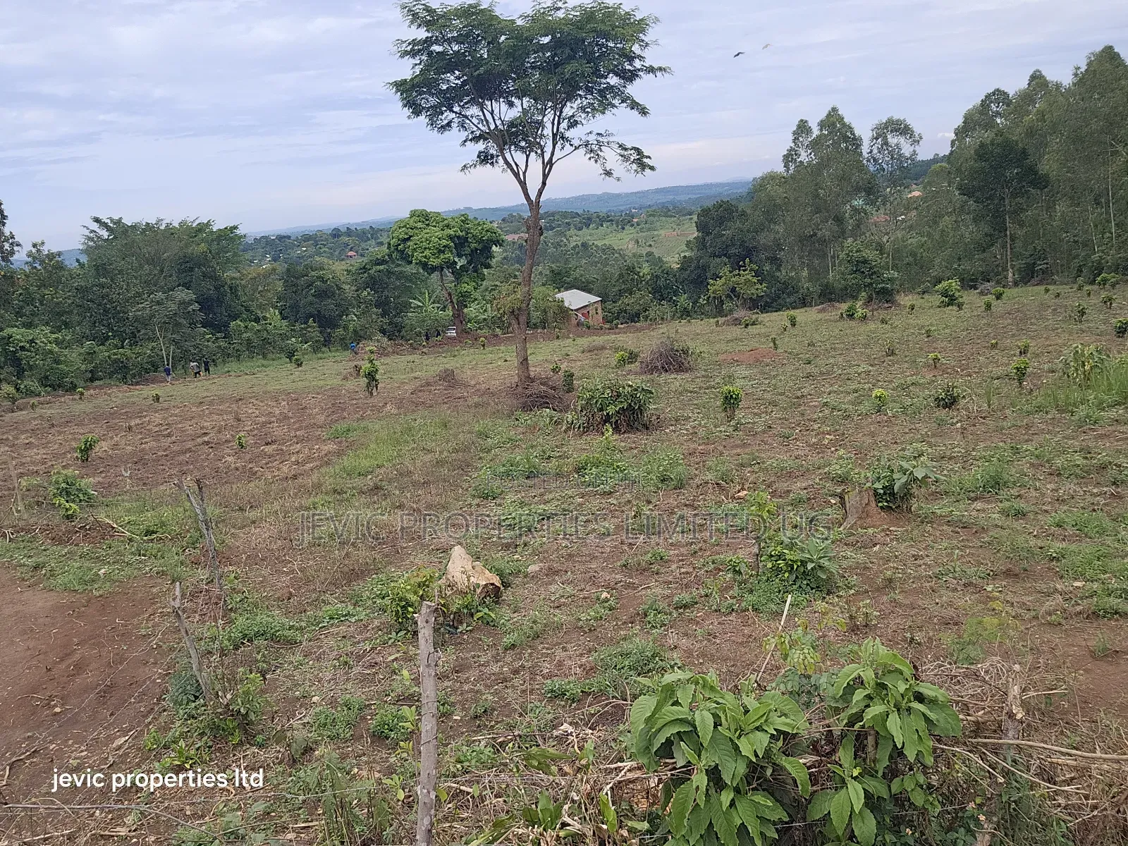 Hot Plots for Sale at Namayumba