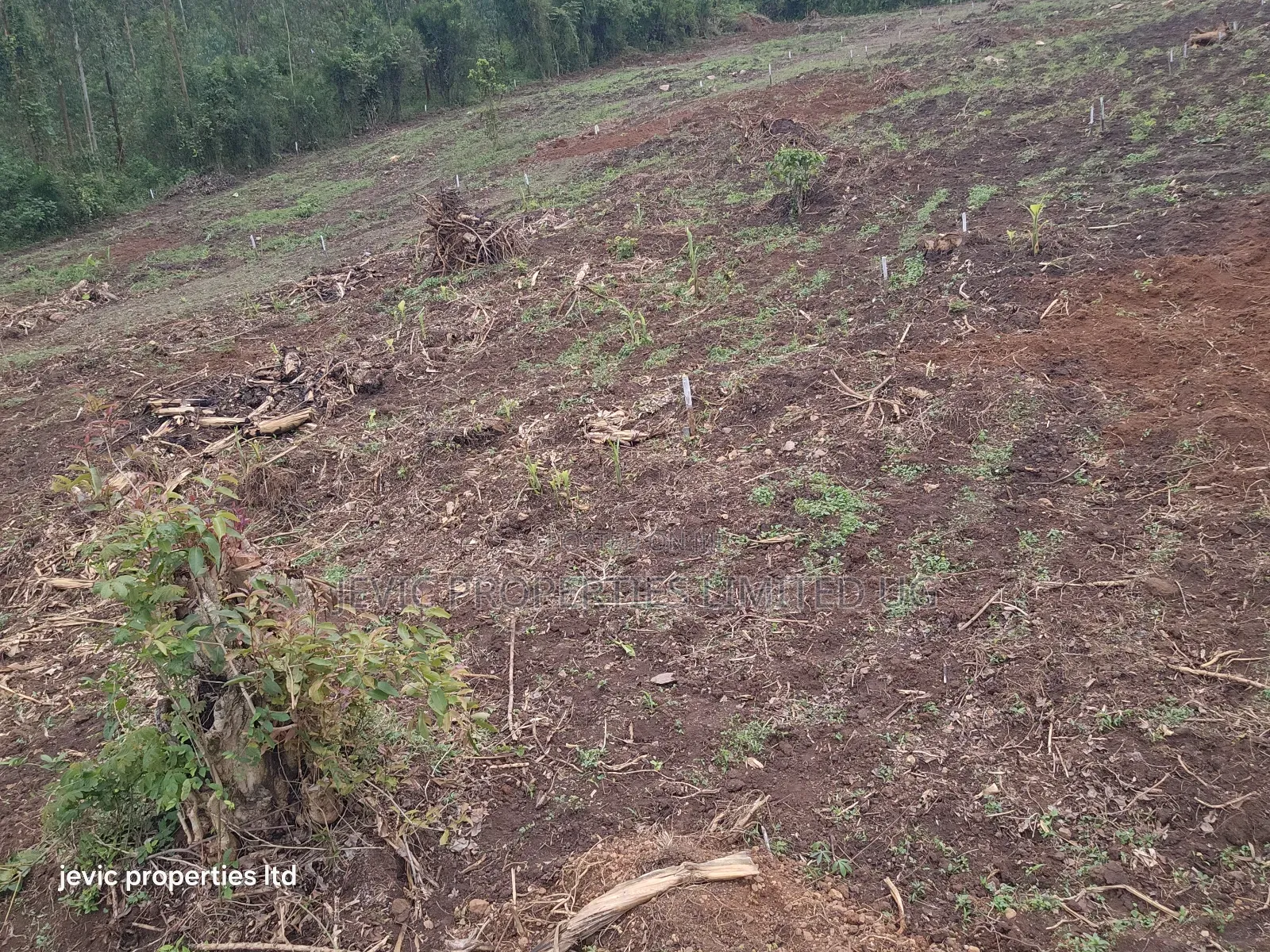 Hot Plots for Sale at Namayumba