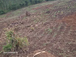 Hot Plots for Sale at Namayumba