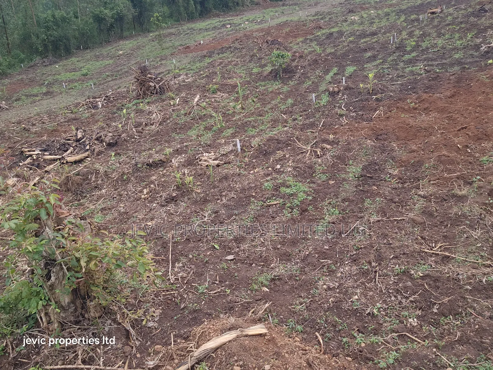Hot Plots for Sale at Namayumba