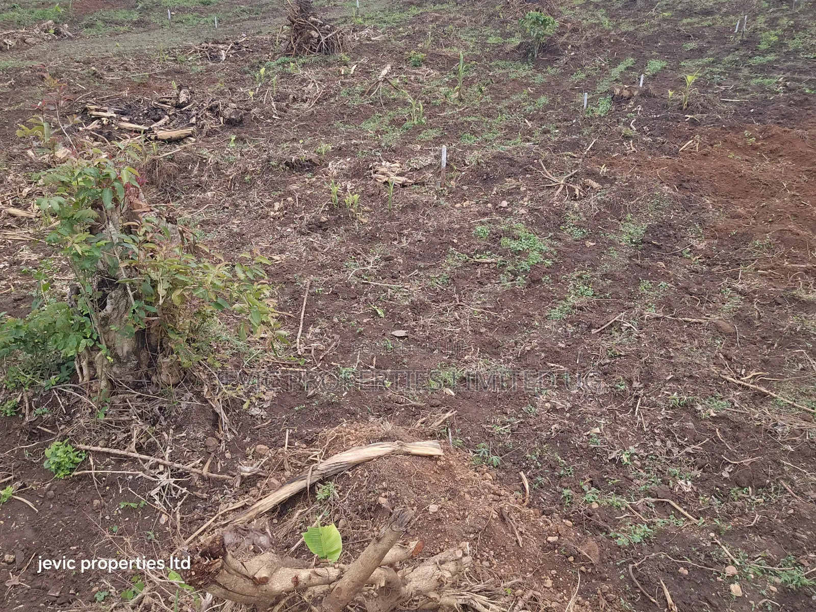 Hot Plots for Sale at Namayumba