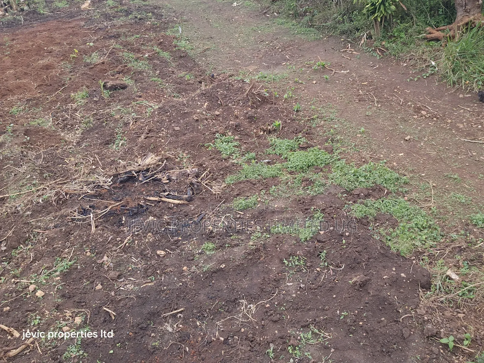 Hot Plots for Sale at Namayumba