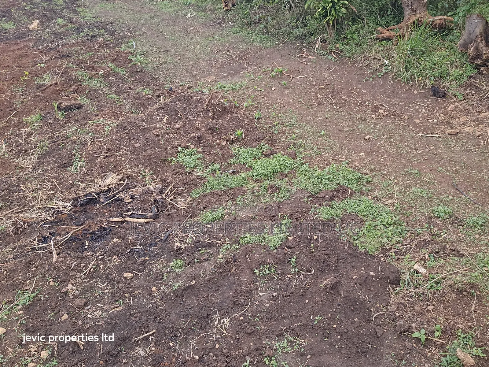 Hot Plots for Sale at Namayumba