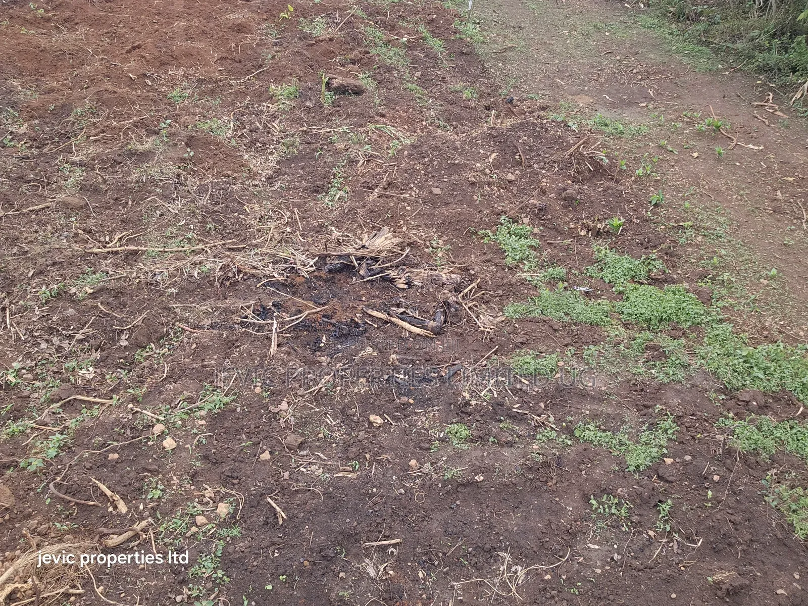Hot Plots for Sale at Namayumba