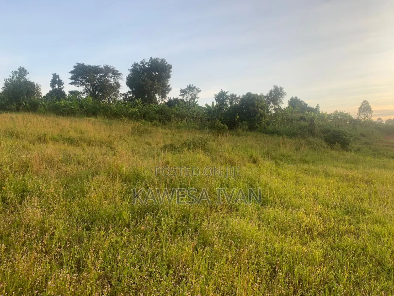 50*100 Plot on Sale Mpigi Town Council