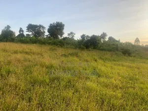 50*100 Plot on Sale Mpigi Town Council