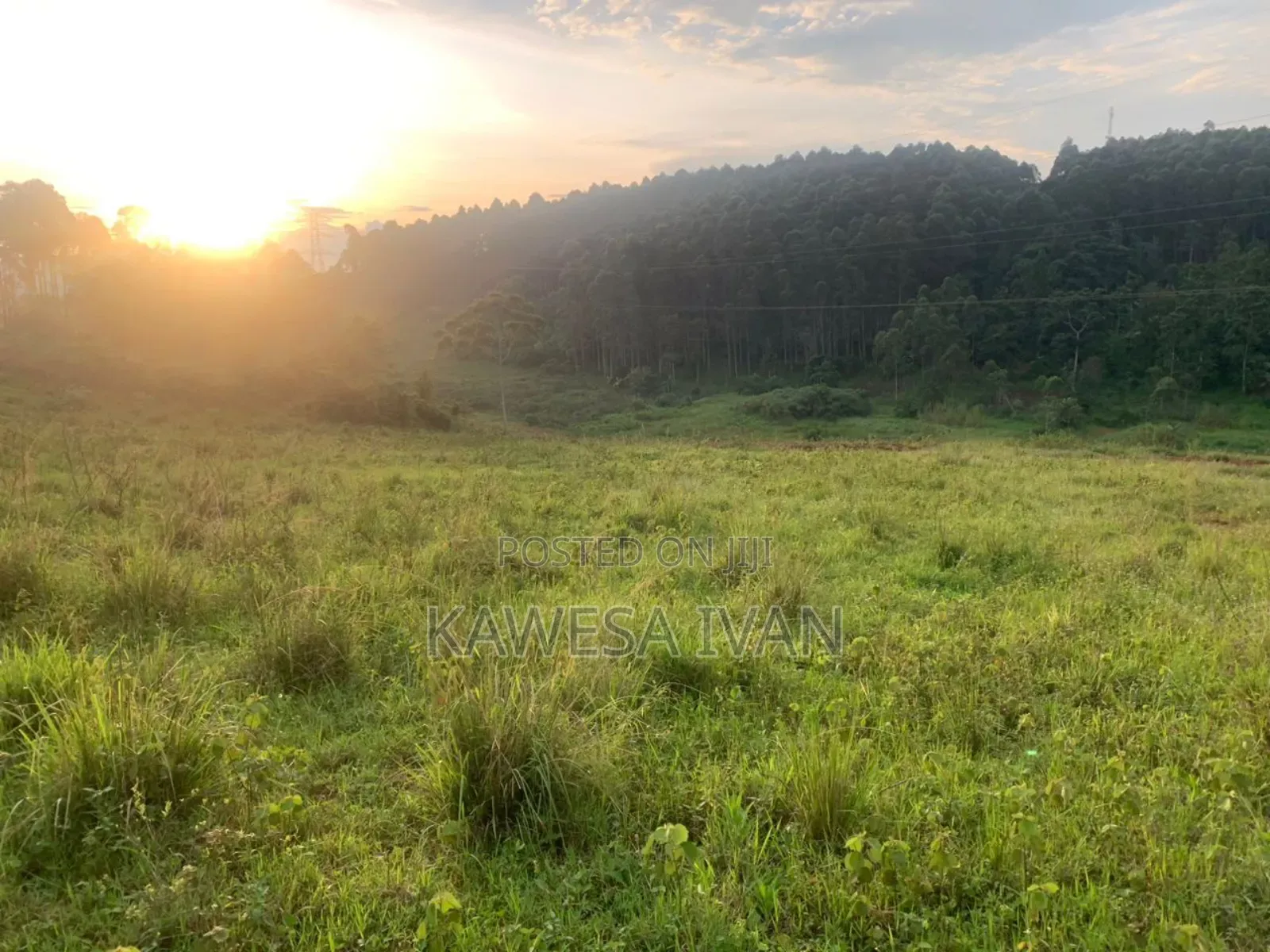50*100 Plot on Sale Mpigi Town Council