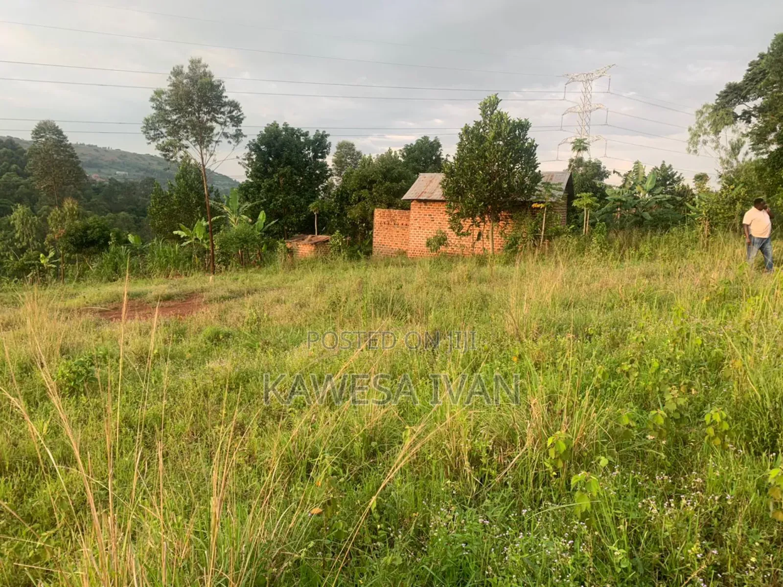 50*100 Plot on Sale Mpigi Town Council