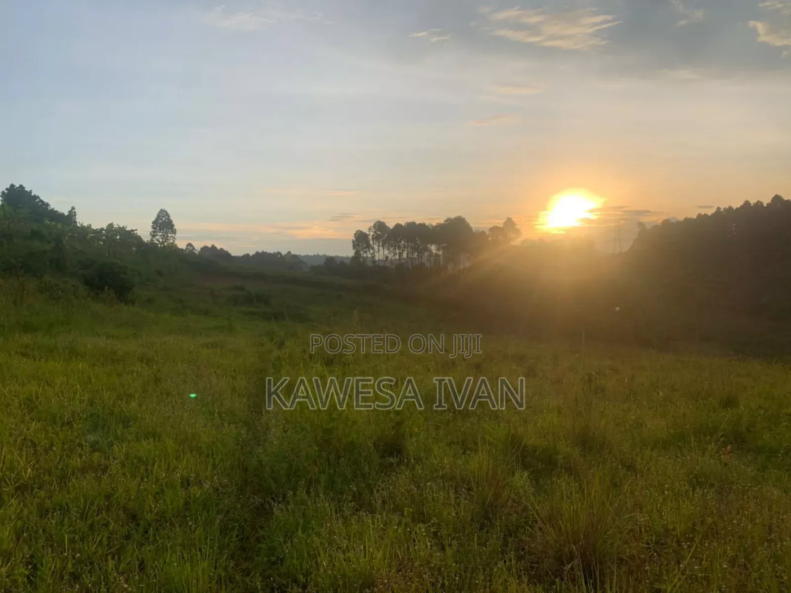 50*100 Plot on Sale Mpigi Town Council