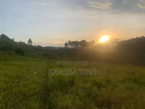 50*100 Plot on Sale Mpigi Town Council