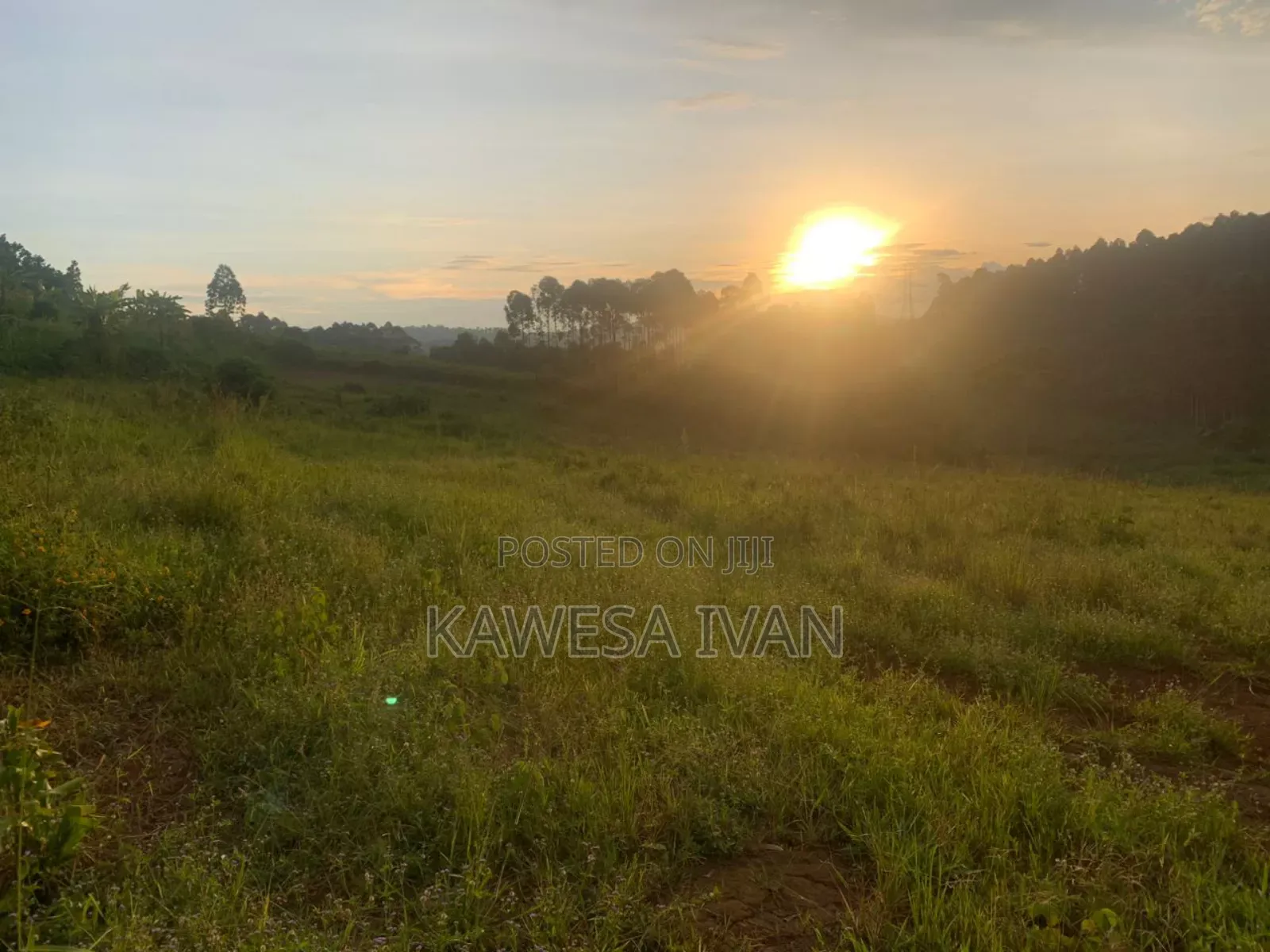 50*100 Plot on Sale Mpigi Town Council