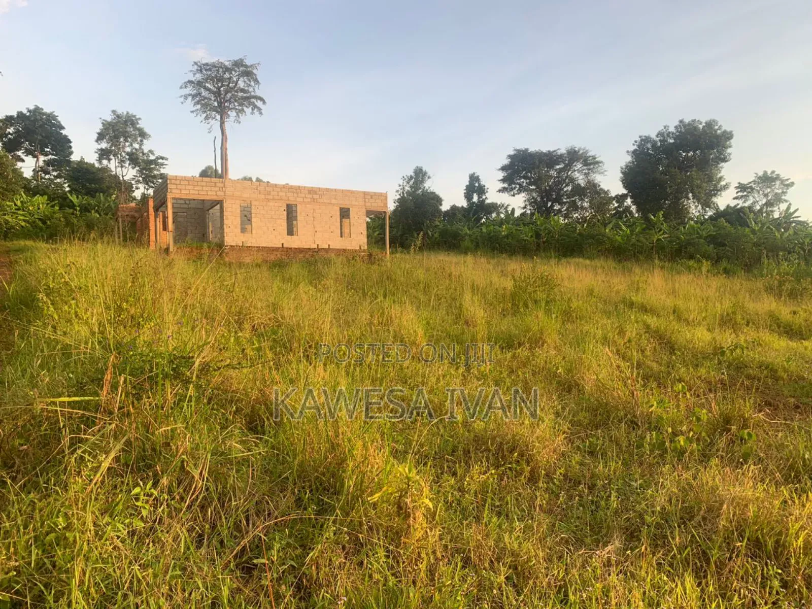 50*100 Plot on Sale Mpigi Town Council