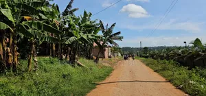 Plots on Qick Sale at Kakiri -Gobero (Titled)