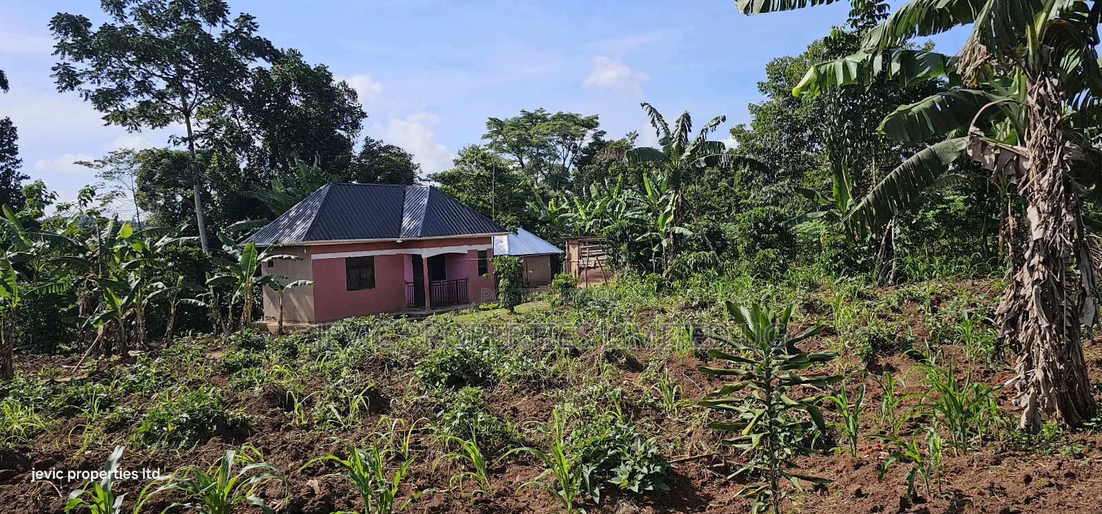 Plots on Qick Sale at Kakiri -Gobero (Titled)