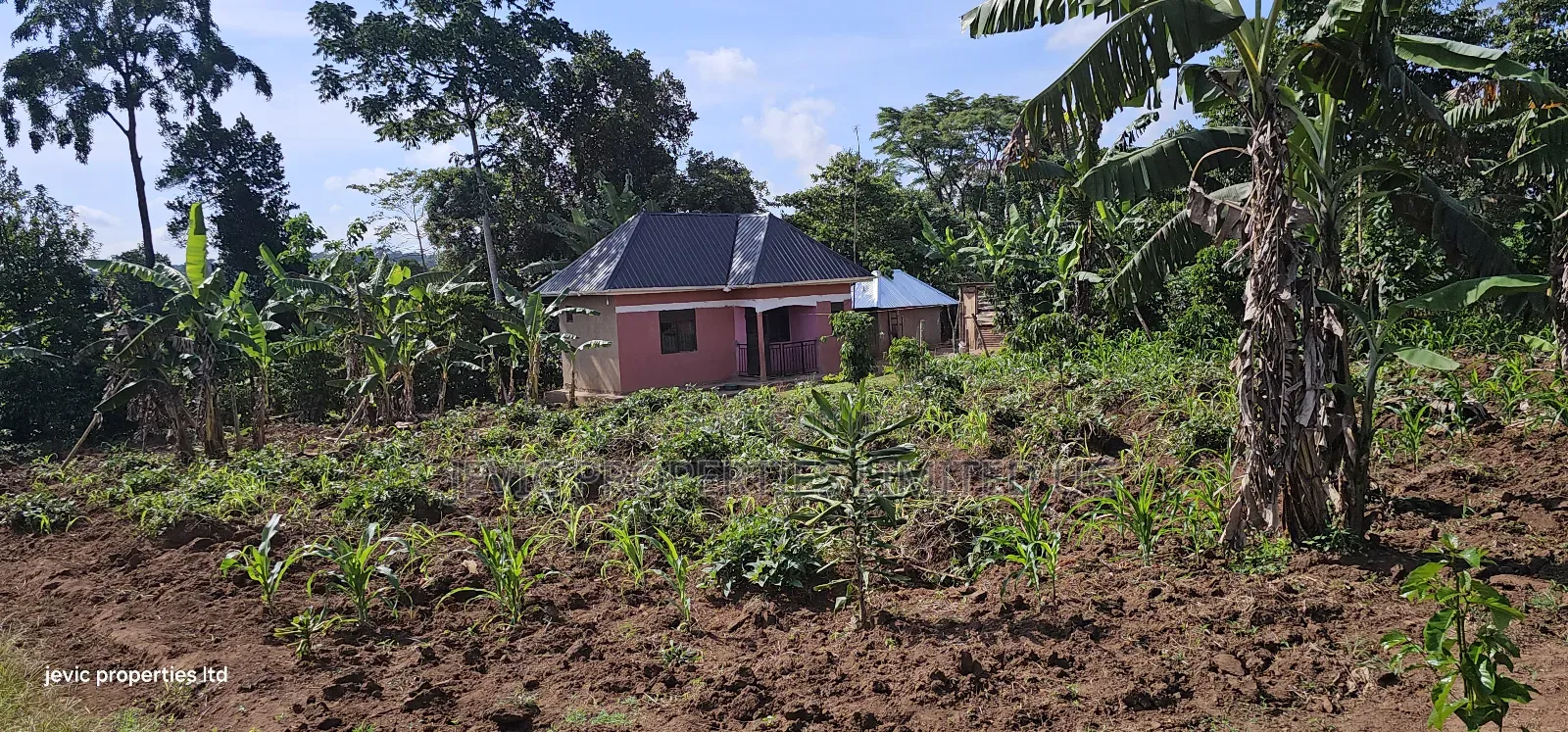 Gobero Highway Tarmac View Plots on Sale Along Hoima Road