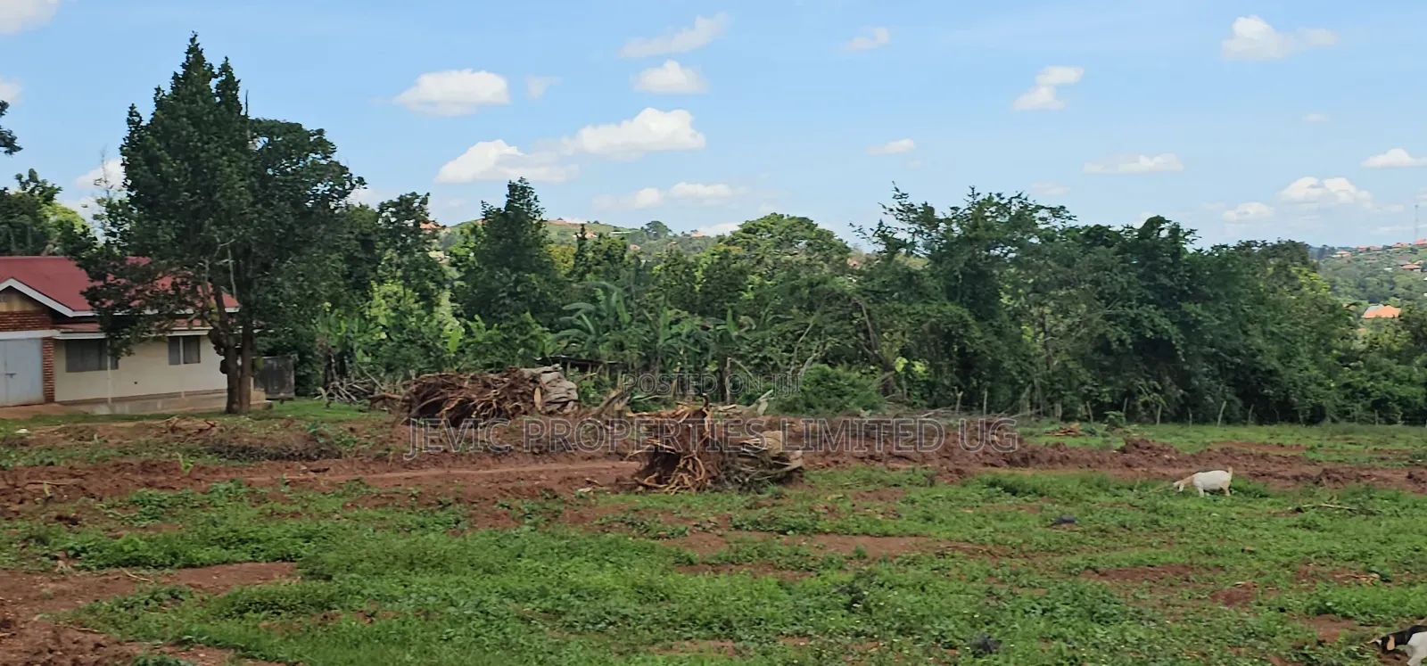 Nkowe Kaliti Hot Plots Now Available
