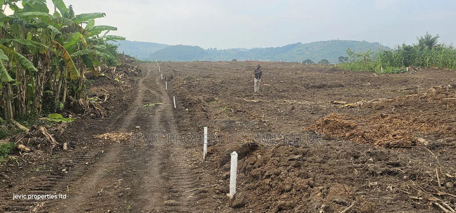 Wakiso Namayumba Plots Available for Sale 200 MTRS on Tamrac
